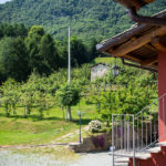 The landscape