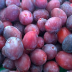 Ramassin (plum)