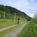 Cicloturismo Bargiolina