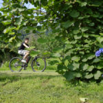 Cicloturismo Bargiolina